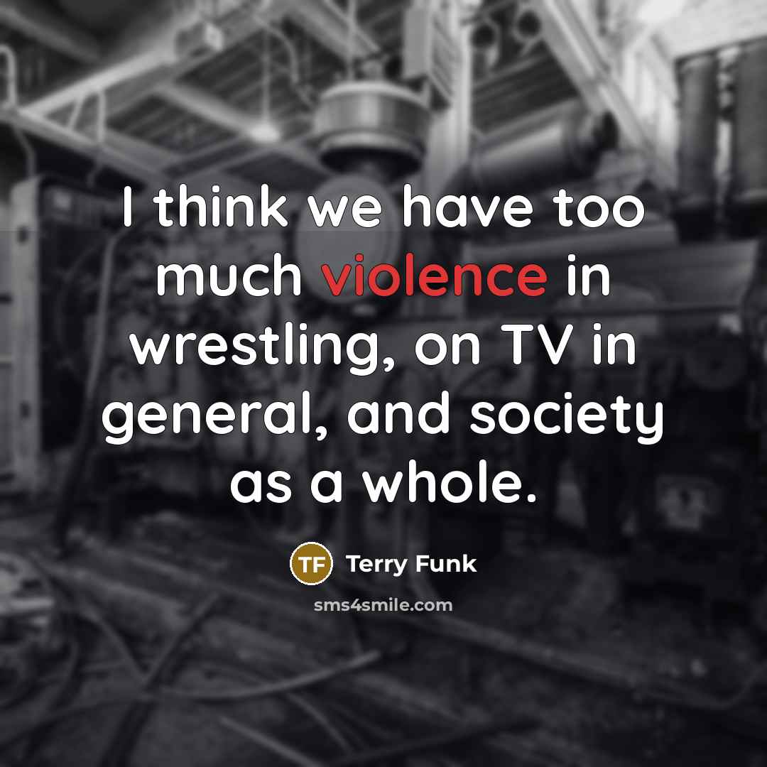 “I think we have too much violence in wrestling, on…” quote by Terry Funk