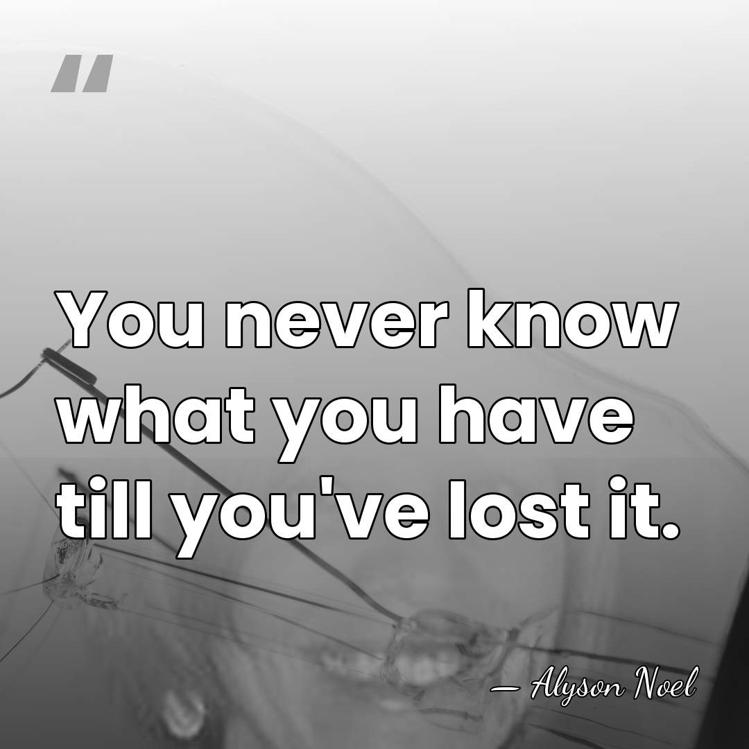 You never know what you have till you've lost it. - Alyson Noel