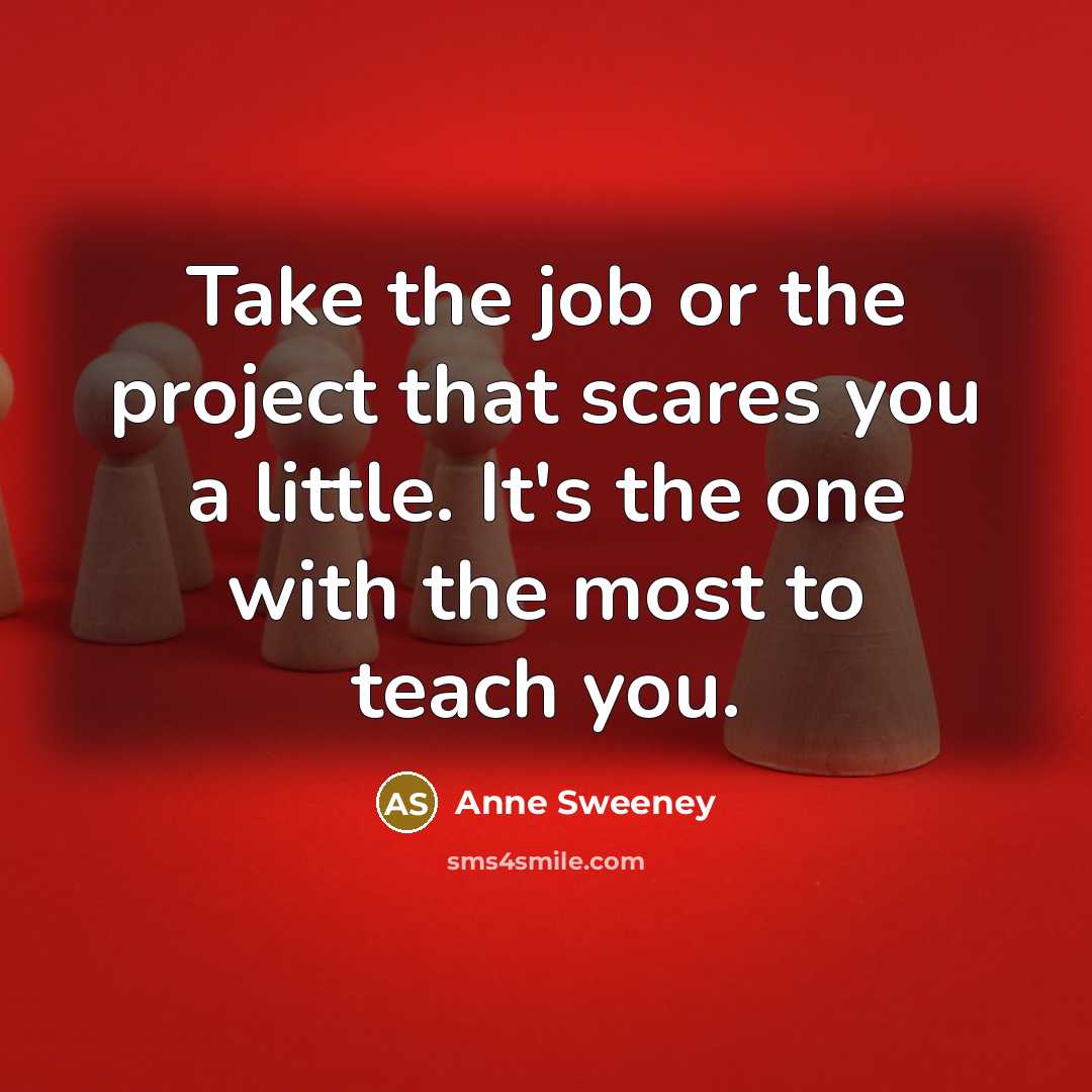 “Take the job or the project that scares you a…” quote by Anne Sweeney