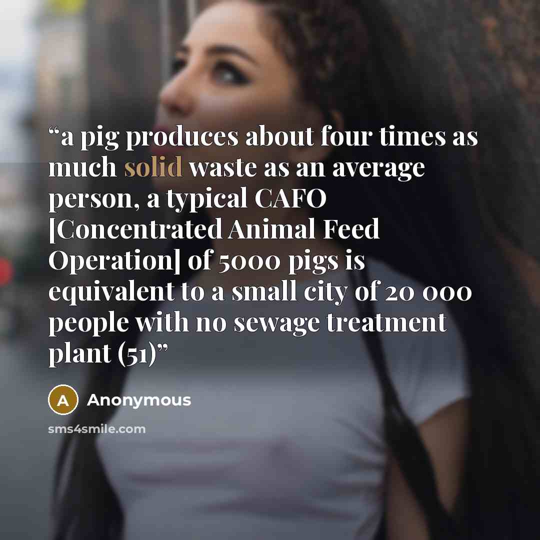 “a pig produces about four times as much solid waste as an average person, a typical CAFO [Concentrated Animal Feed Operation] of 5000 pigs is equivalent to a small city of 20 000 people with no sewage treatment plant (51)” quote by Anonymous