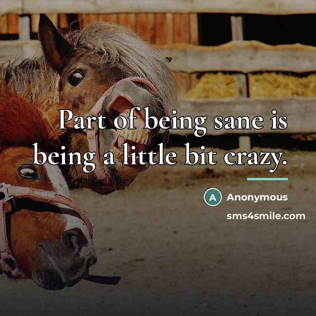 “Part of being sane is being a little bit crazy.…” quote by Janet C. Long