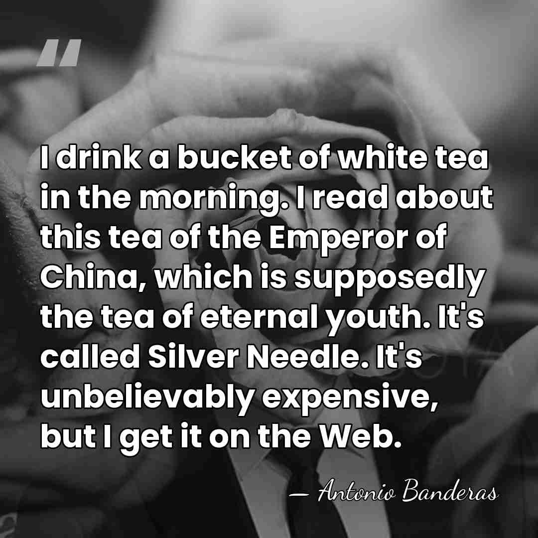 I drink a bucket of white tea in the morning. I read&hellip; - Antonio Banderas