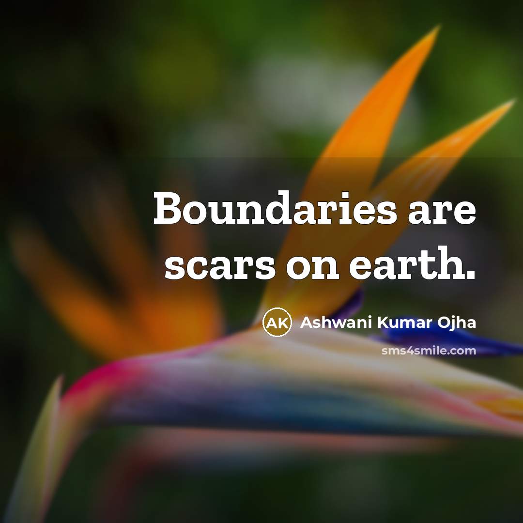 “Boundaries are scars on earth.…” quote by Ashwani Kumar Ojha