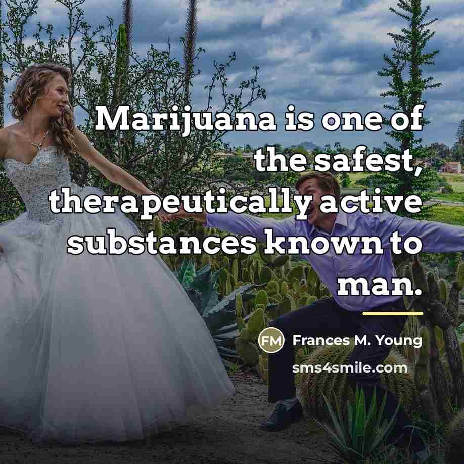 “Marijuana is one of the safest, therapeutically active substances known…” quote by Frances M. Young