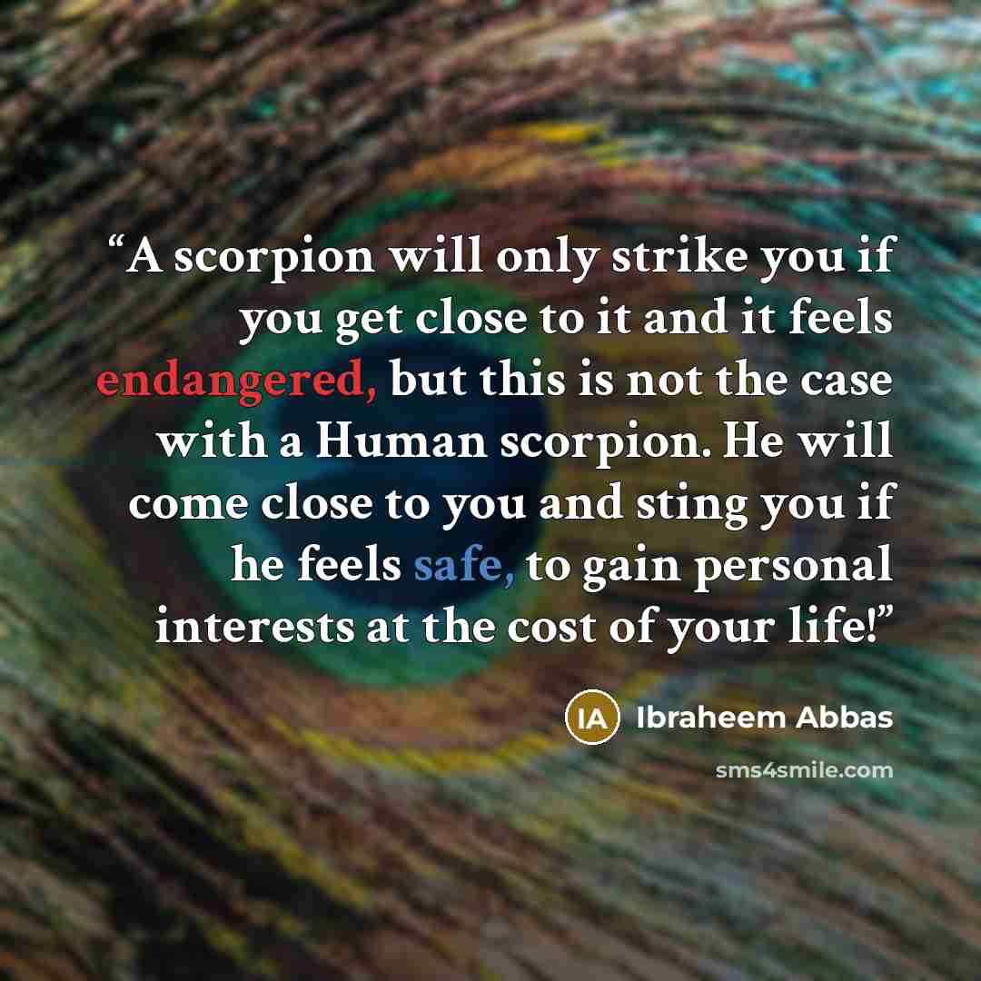 “A scorpion will only strike you if you get close to it and it feels endangered, but this is not the case with a Human scorpion. He will come close to you and sting you if he feels safe, to gain personal interests at the cost of your life!” quote by Ibraheem Abbas