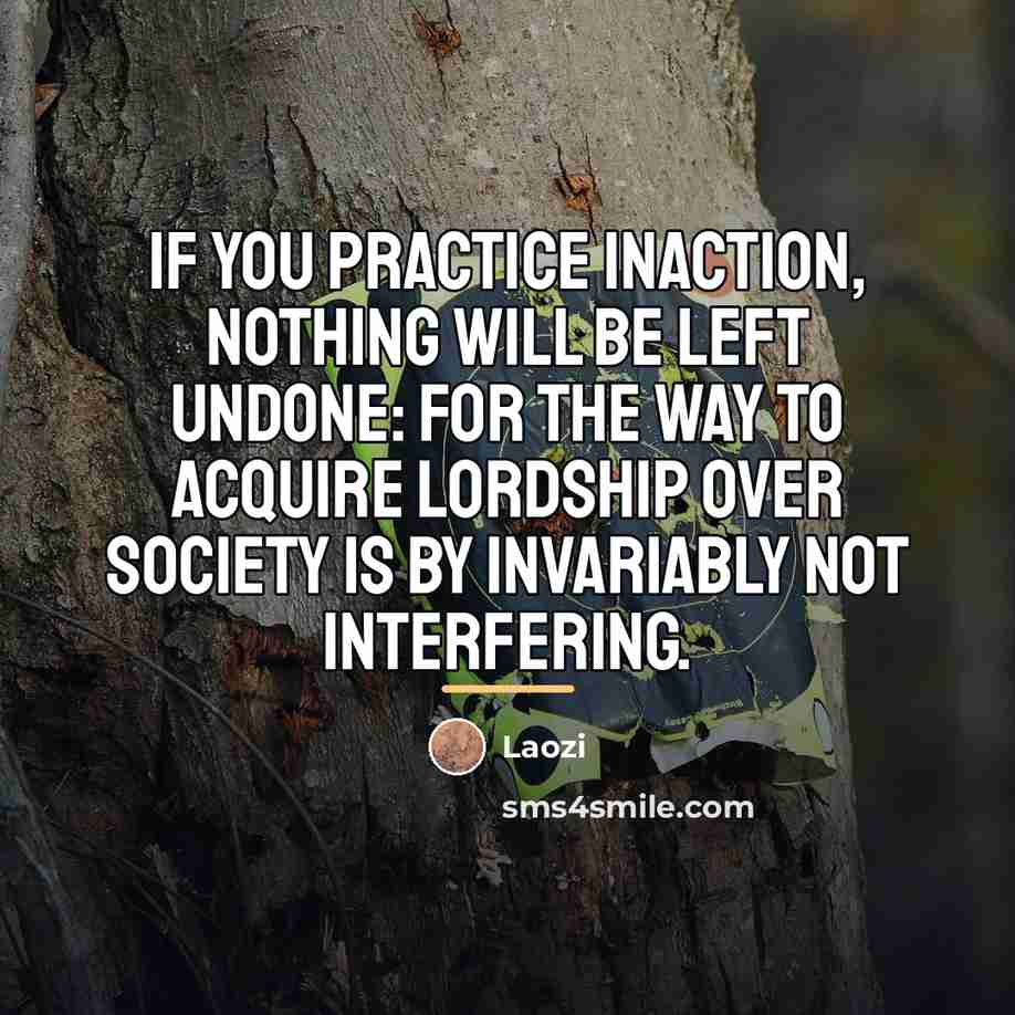 “If you practice inaction, nothing will be left undone: For…” quote by Laozi