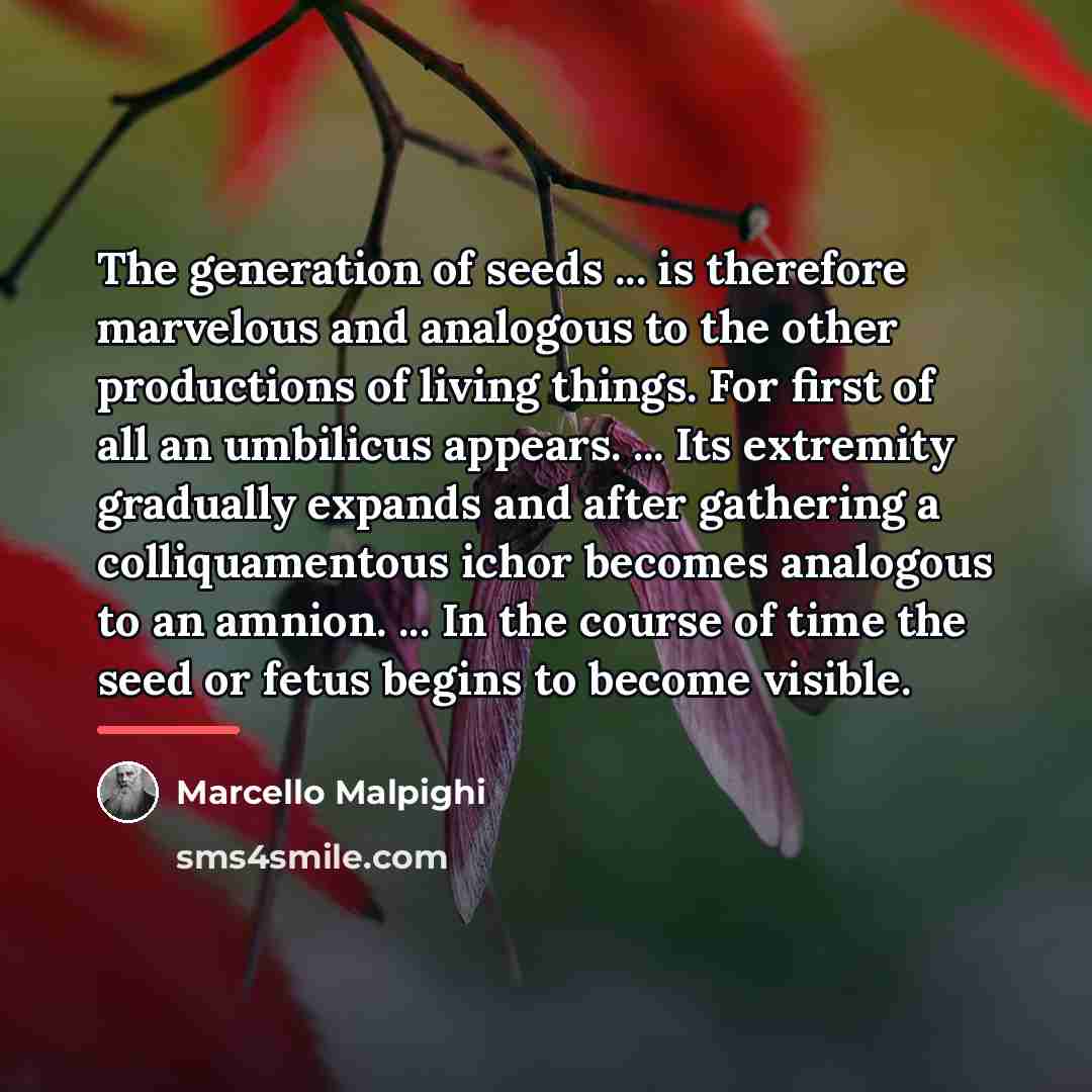 “The generation of seeds ... is therefore marvelous and analogous…” quote by Marcello Malpighi