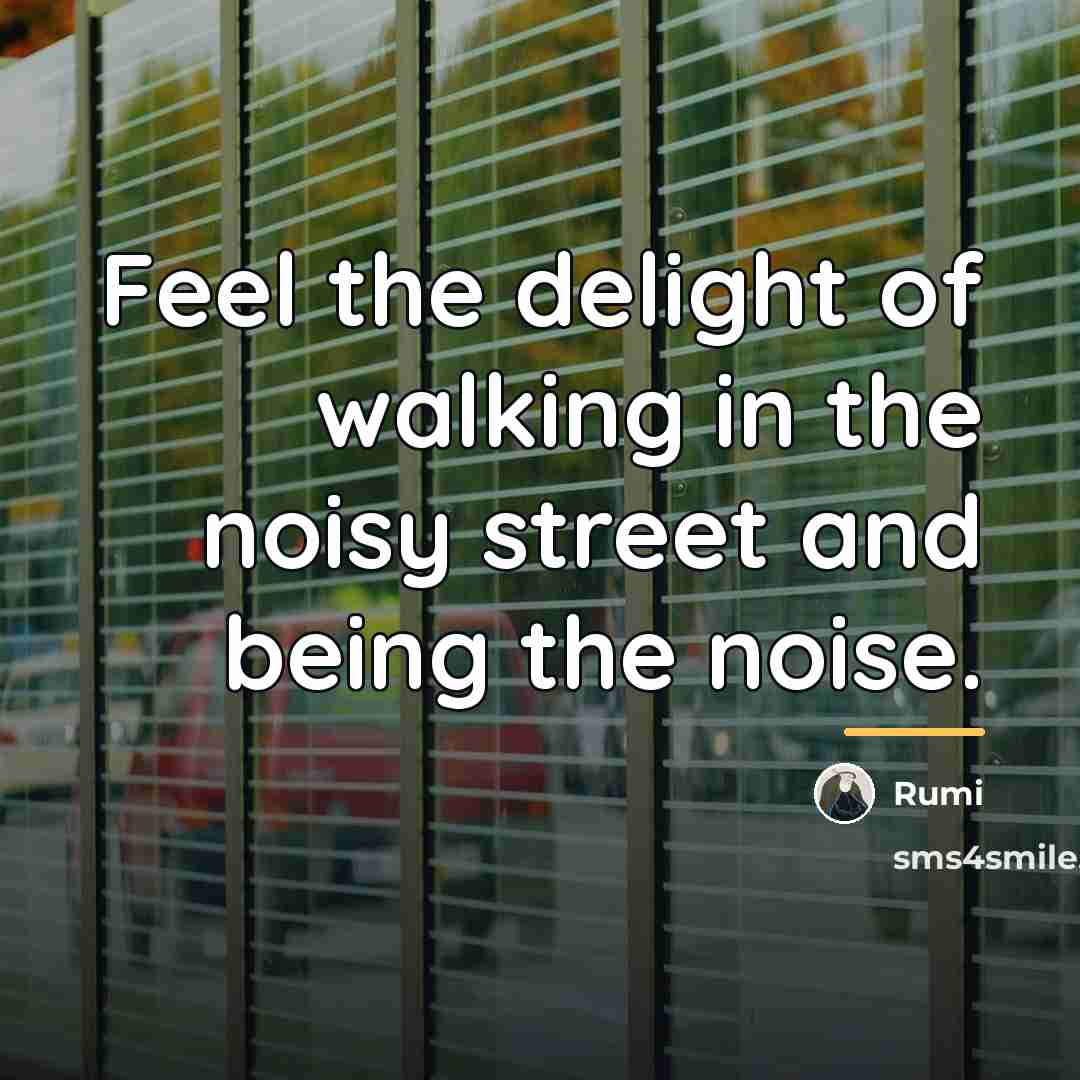 “Feel the delight of walking in the noisy street and…” quote by Rumi