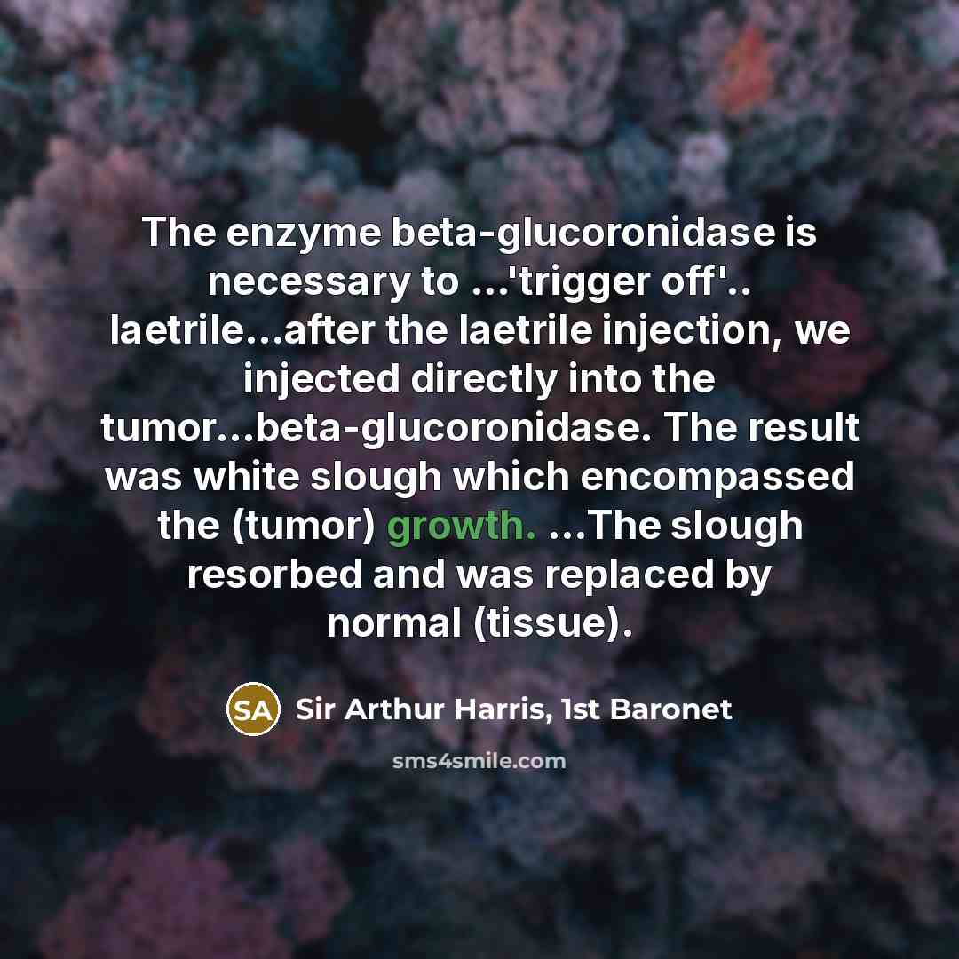 “The enzyme beta-glucoronidase is necessary to ...'trigger off'.. laetrile.....after the…” quote by Sir Arthur Harris, 1st Baronet