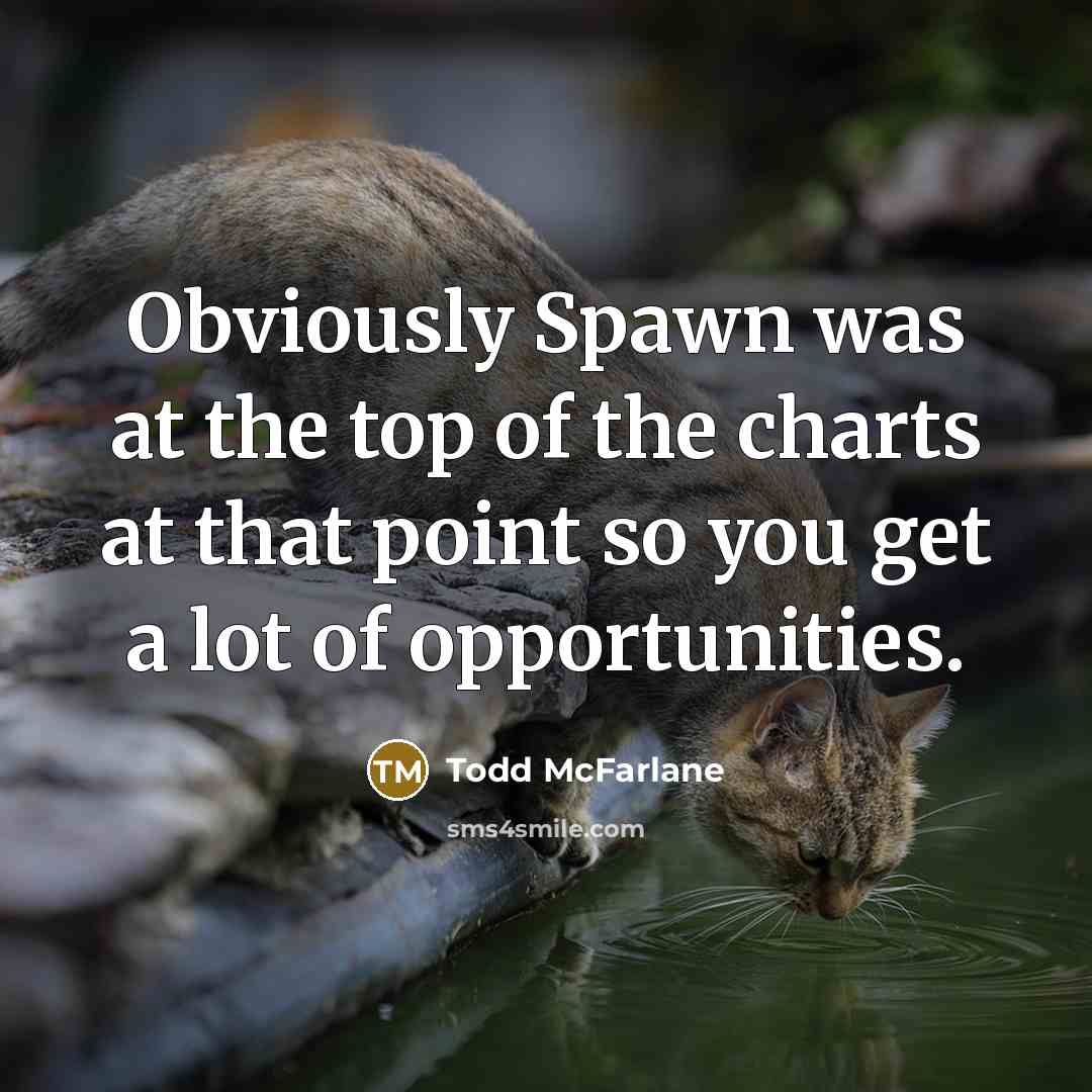 “Obviously Spawn was at the top of the charts at…” quote by Todd McFarlane