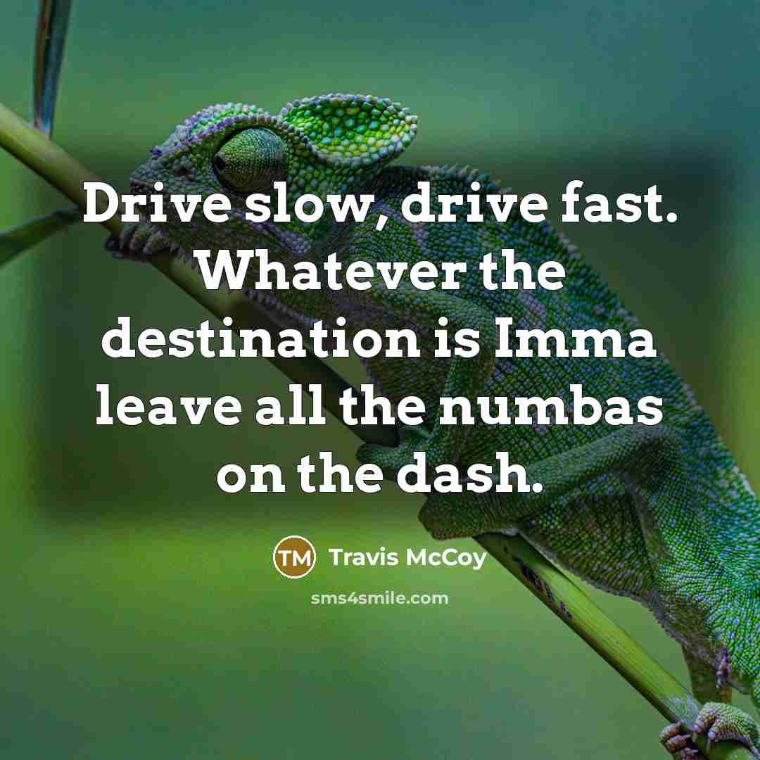 “Drive slow, drive fast. Whatever the destination is Imma leave all the numbas on the dash.” quote by Travis McCoy