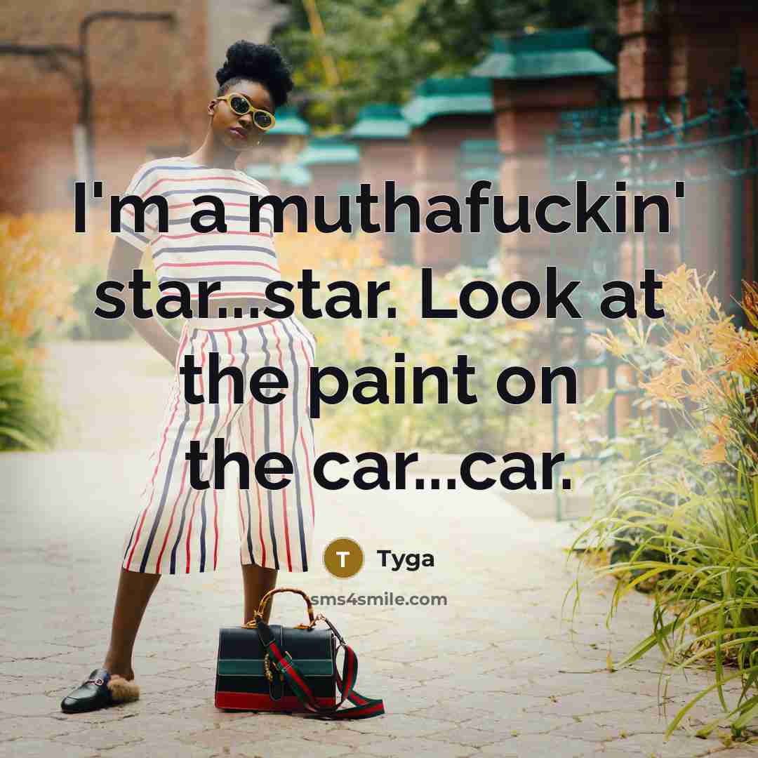 “I'm a muthafuckin' star...star. Look at the paint on the car...car.” quote by Tyga