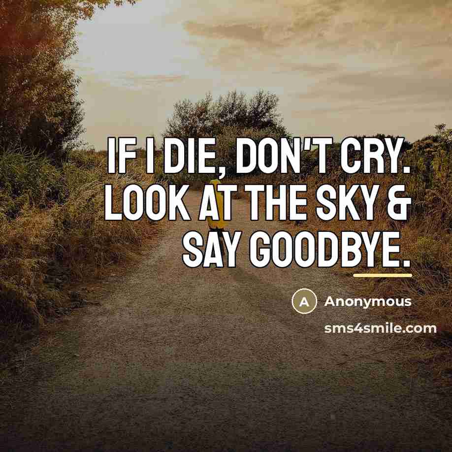 “If I die, don't cry. Look at the sky &…” quote by Anonymous