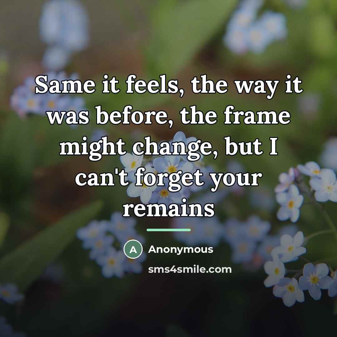 “Same it feels, the way it was before, the frame…” quote by Anonymous