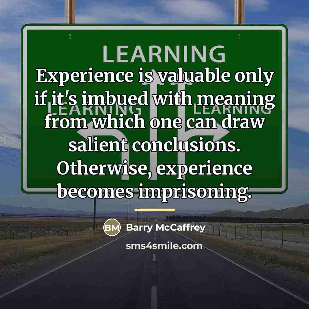 “Experience is valuable only if it's imbued with meaning from…” quote by Barry McCaffrey