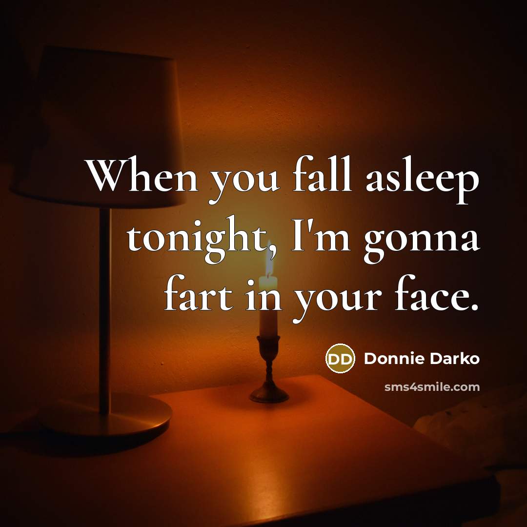 “When you fall asleep tonight, I'm gonna fart in your…” quote by Donnie Darko