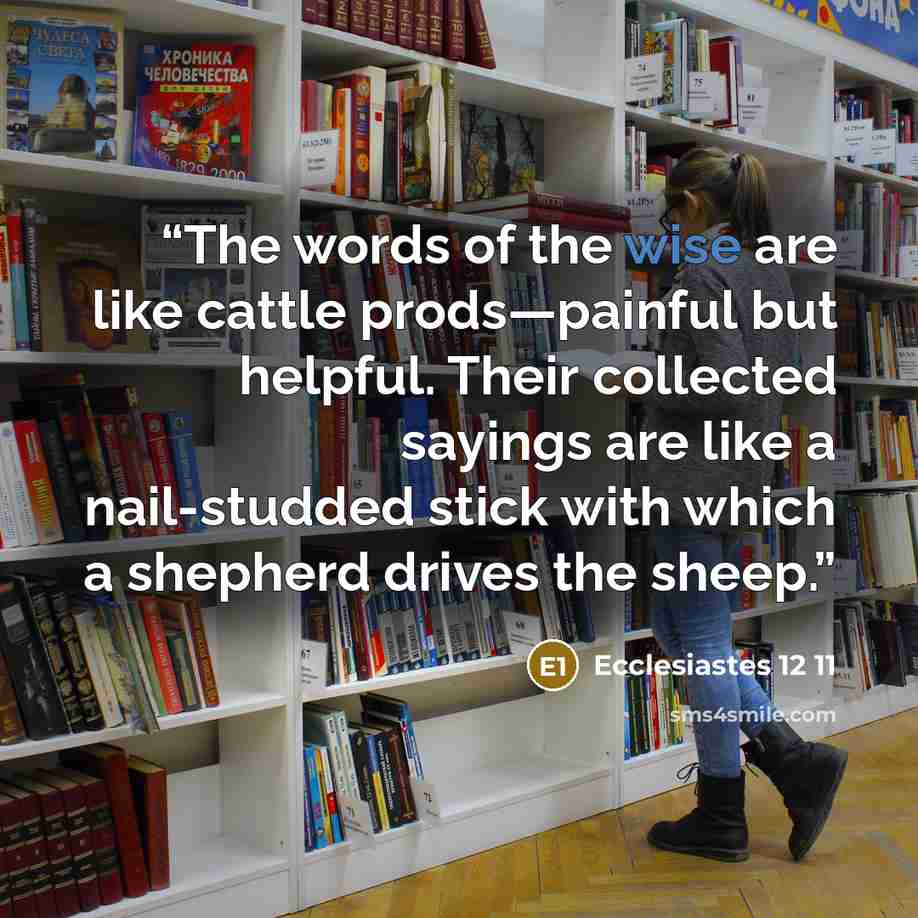 “The words of the wise are like cattle prods—painful but helpful. Their collected sayings are like a nail-studded stick with which a shepherd drives the sheep.” quote by Ecclesiastes 12 11