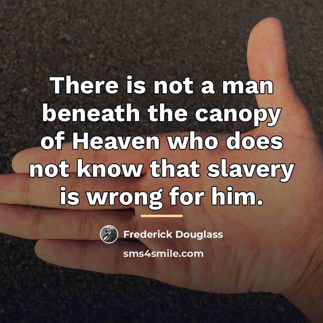 “There is not a man beneath the canopy of Heaven…” quote by Frederick Douglass