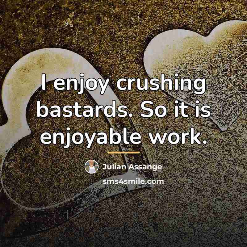 “I enjoy crushing bastards. So it is enjoyable work.…” quote by Julian Assange