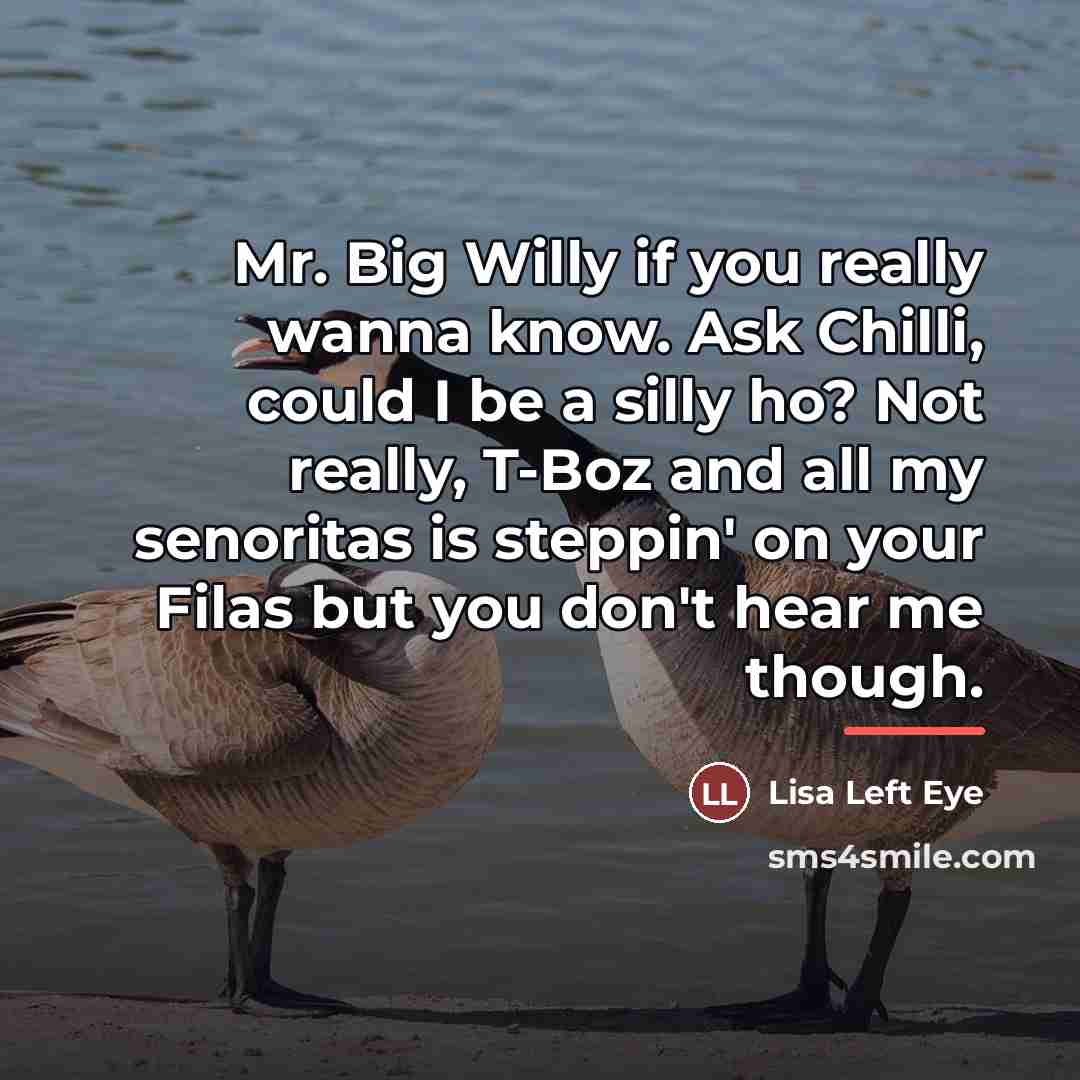 “Mr. Big Willy if you really wanna know. Ask Chilli,…” quote by Lisa Left Eye
