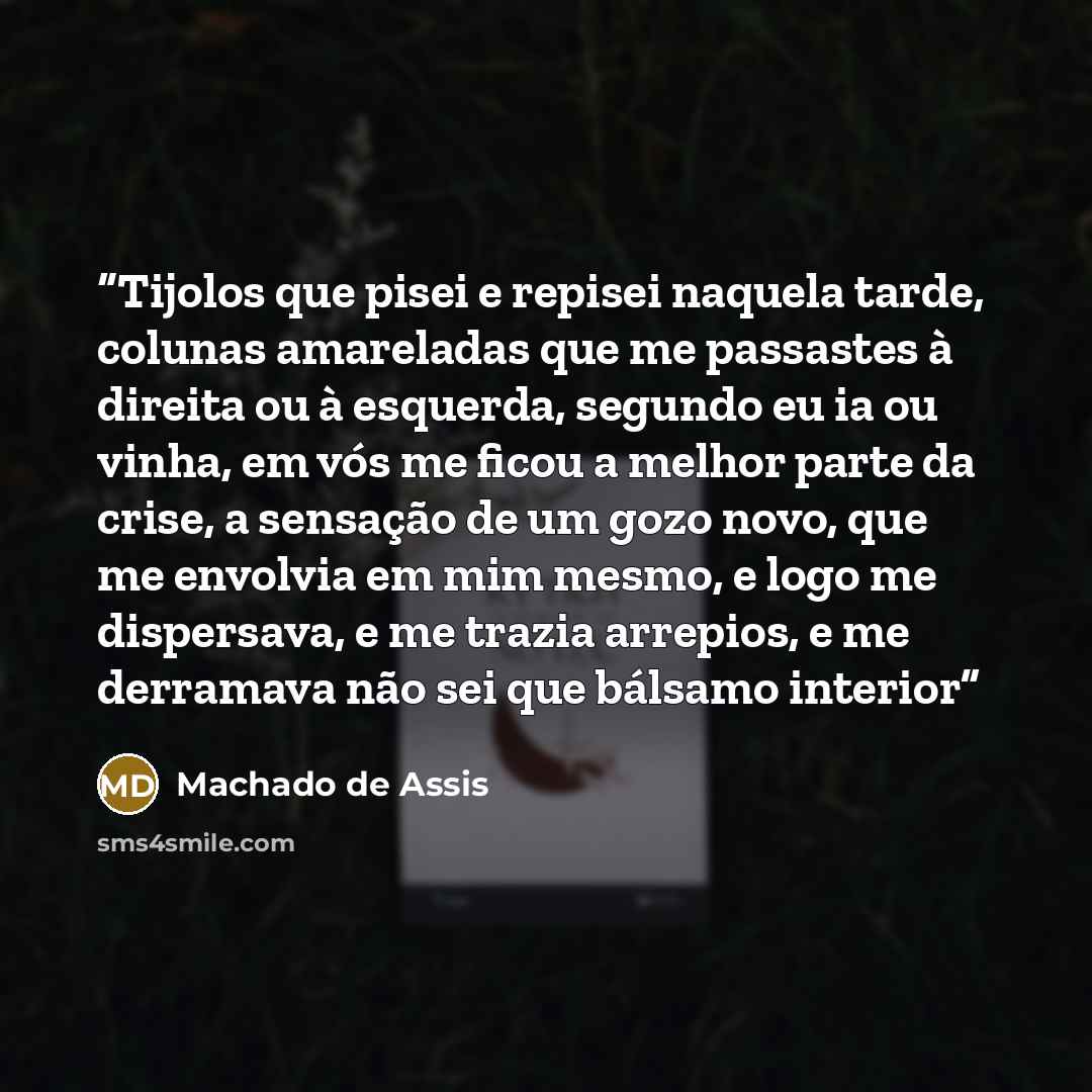 “Tijolos que pisei e repisei naquela tarde, colunas amareladas que me passastes à direita ou à esquerda, segundo eu ia ou vinha, em vós me ficou a melhor parte da crise, a sensação de um gozo novo, que me envolvia em mim mesmo, e logo me dispersava, e me trazia arrepios, e me derramava não sei que…” quote by Machado de Assis