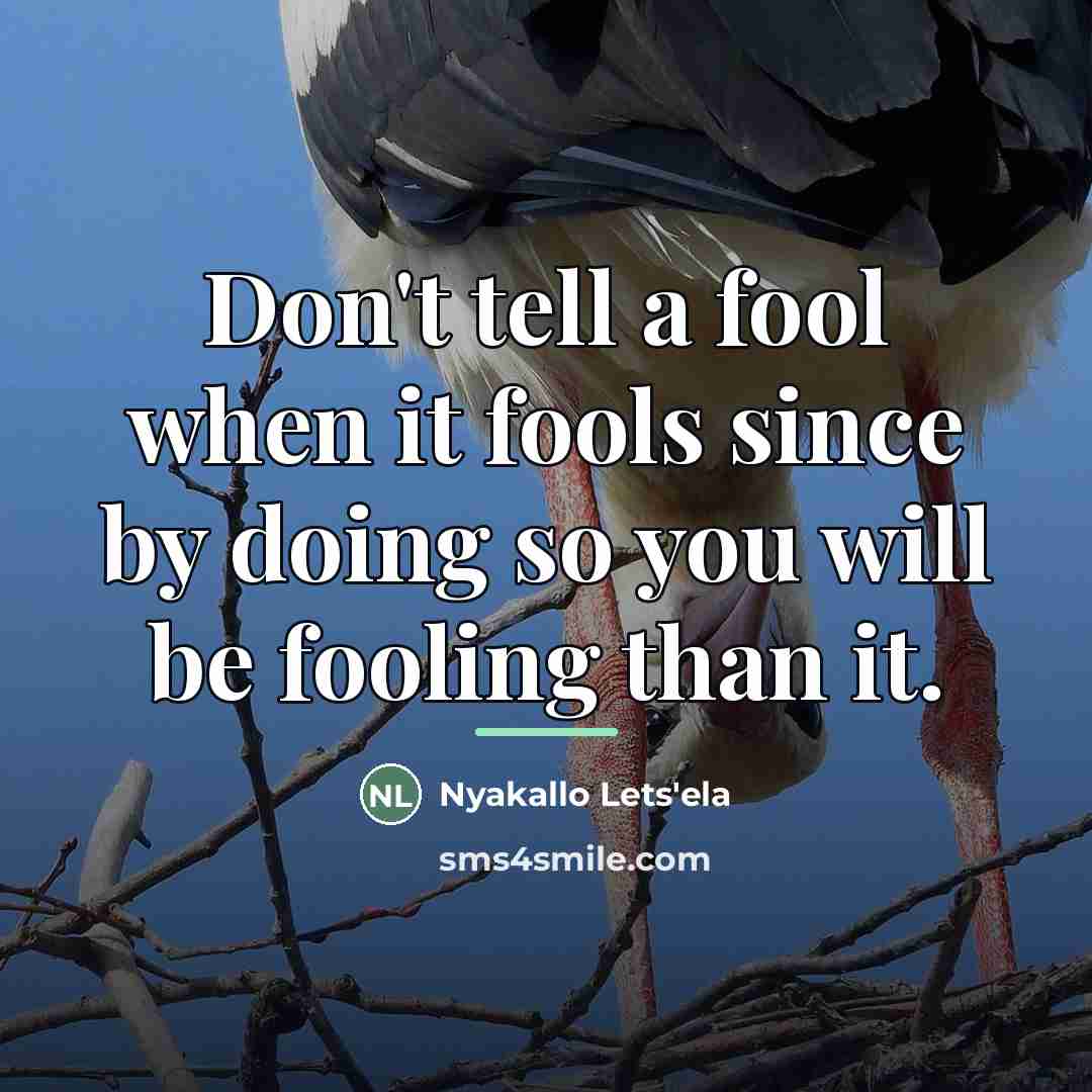 “Don't tell a fool when it fools since by doing…” quote by Nyakallo Lets'ela