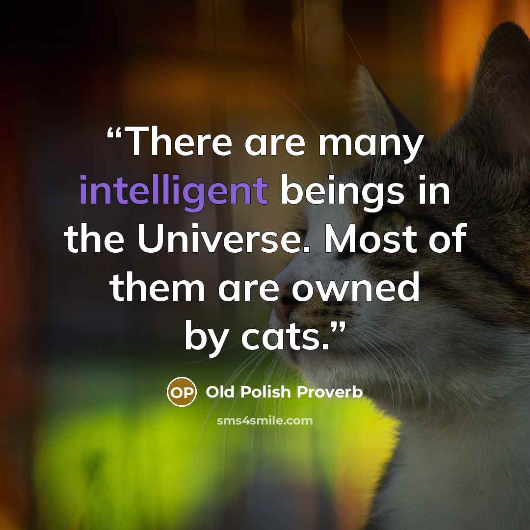 “There are many intelligent beings in the Universe. Most of them are owned by cats.” quote by Old Polish Proverb