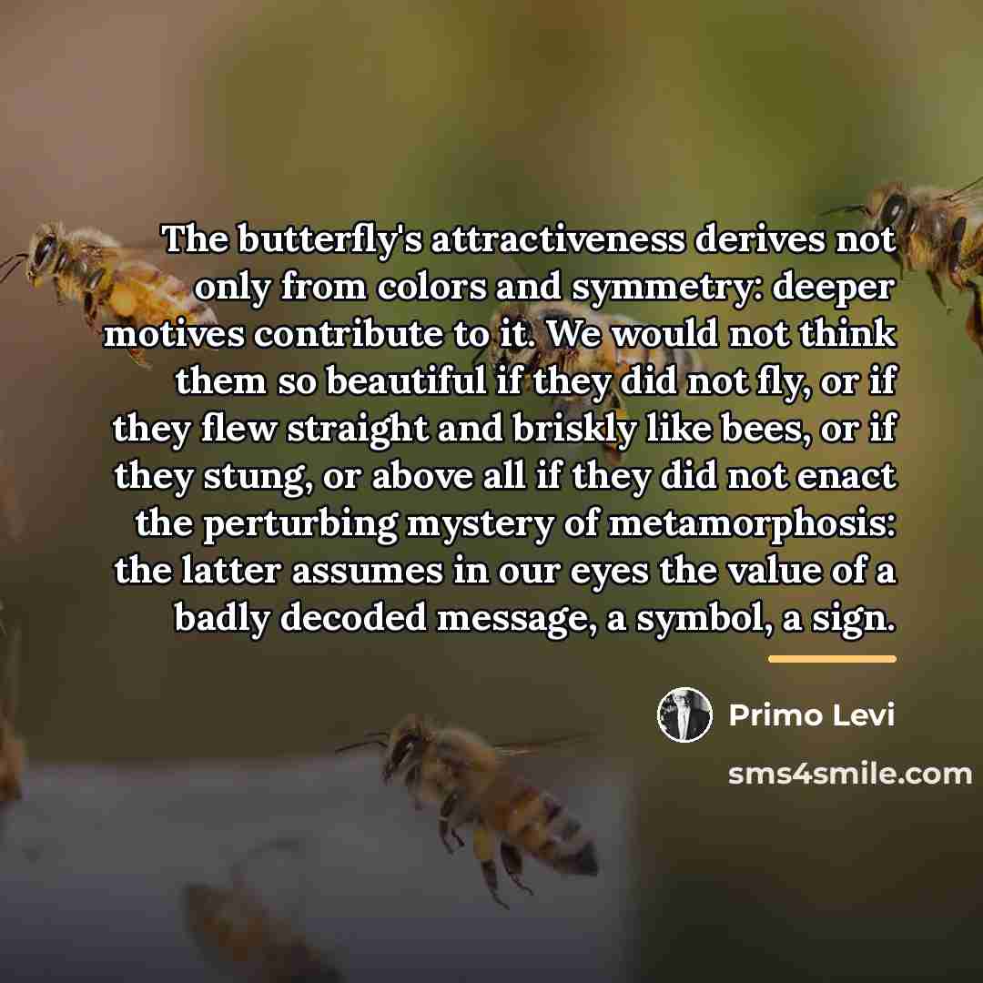 “The butterfly's attractiveness derives not only from colors and symmetry:…” quote by Primo Levi