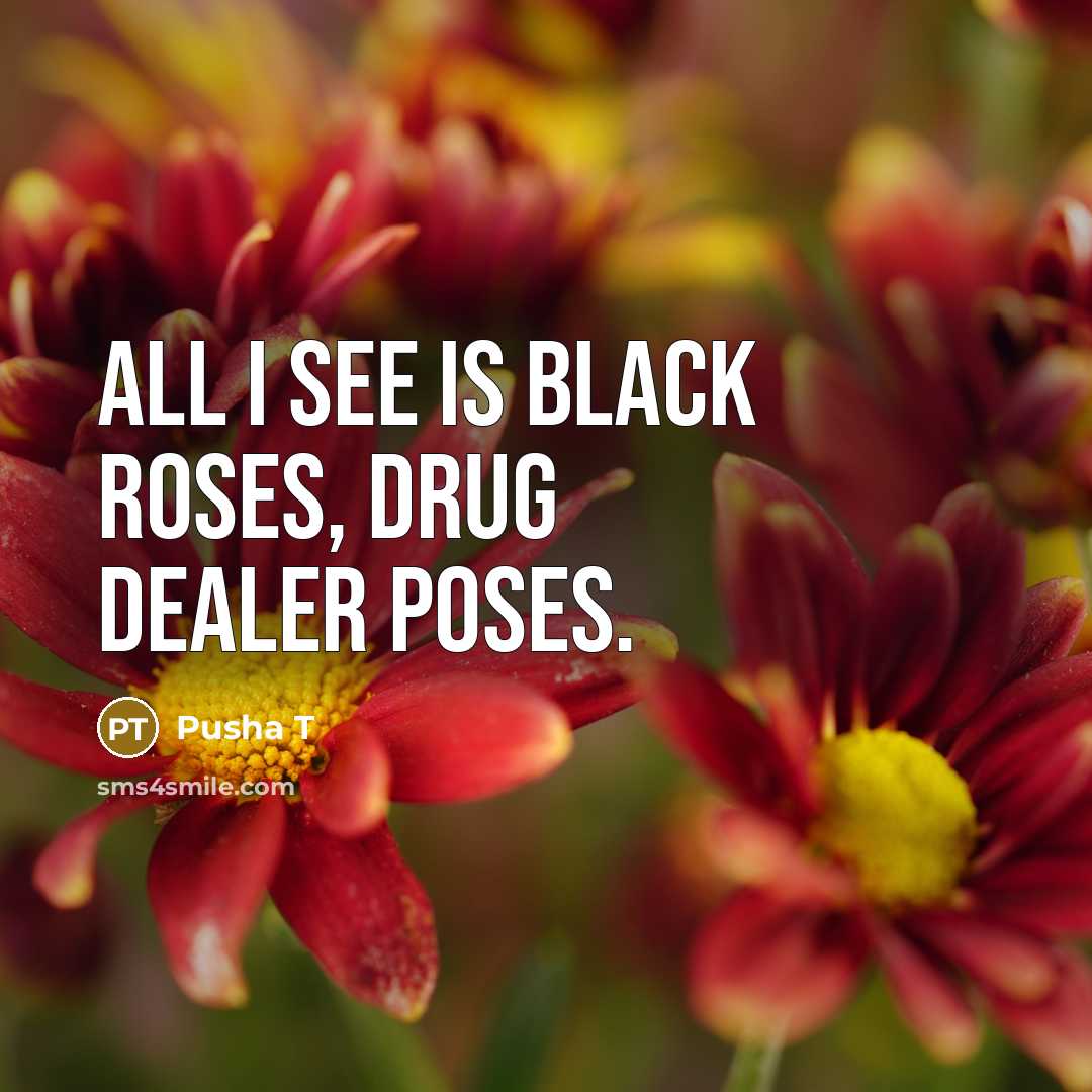 “All I see is black roses, drug dealer poses.…” quote by Pusha T