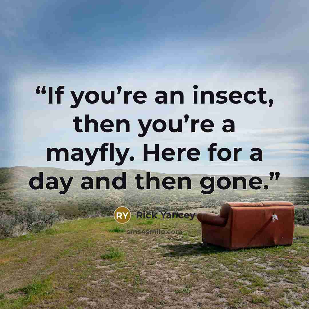 “If you’re an insect, then you’re a mayfly. Here for a day and then gone.” quote by Rick Yancey
