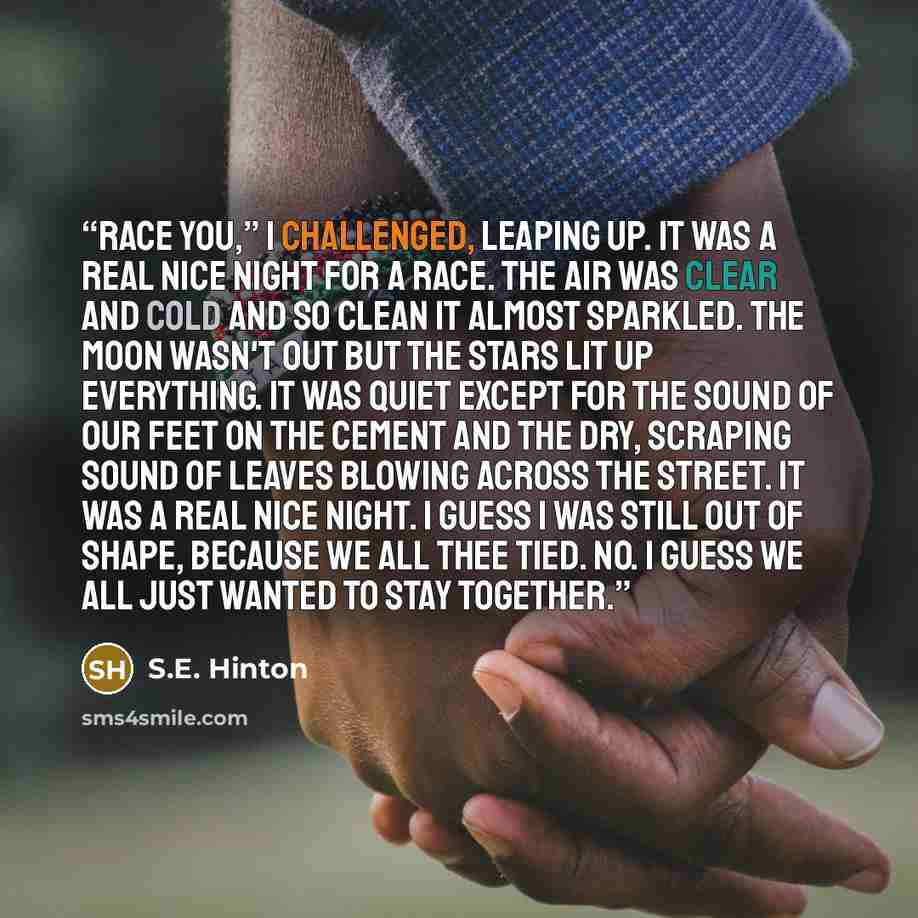 “Race you,” I challenged, leaping up. It was a real nice night for a race. The air was clear and cold and so clean it almost sparkled. The moon wasn't out but the stars lit up everything. It was quiet except for the sound of our feet on the cement and the dry, scraping sound of leaves blowing…” quote by S.E. Hinton