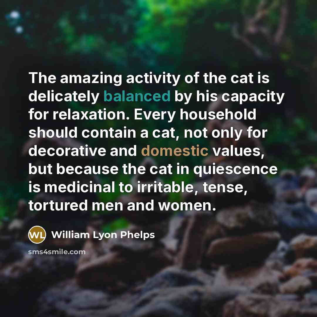 “The amazing activity of the cat is delicately balanced by…” quote by William Lyon Phelps