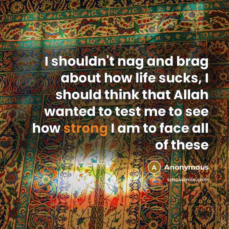 “I shouldn't nag and brag about how life sucks, I…” quote by Anonymous