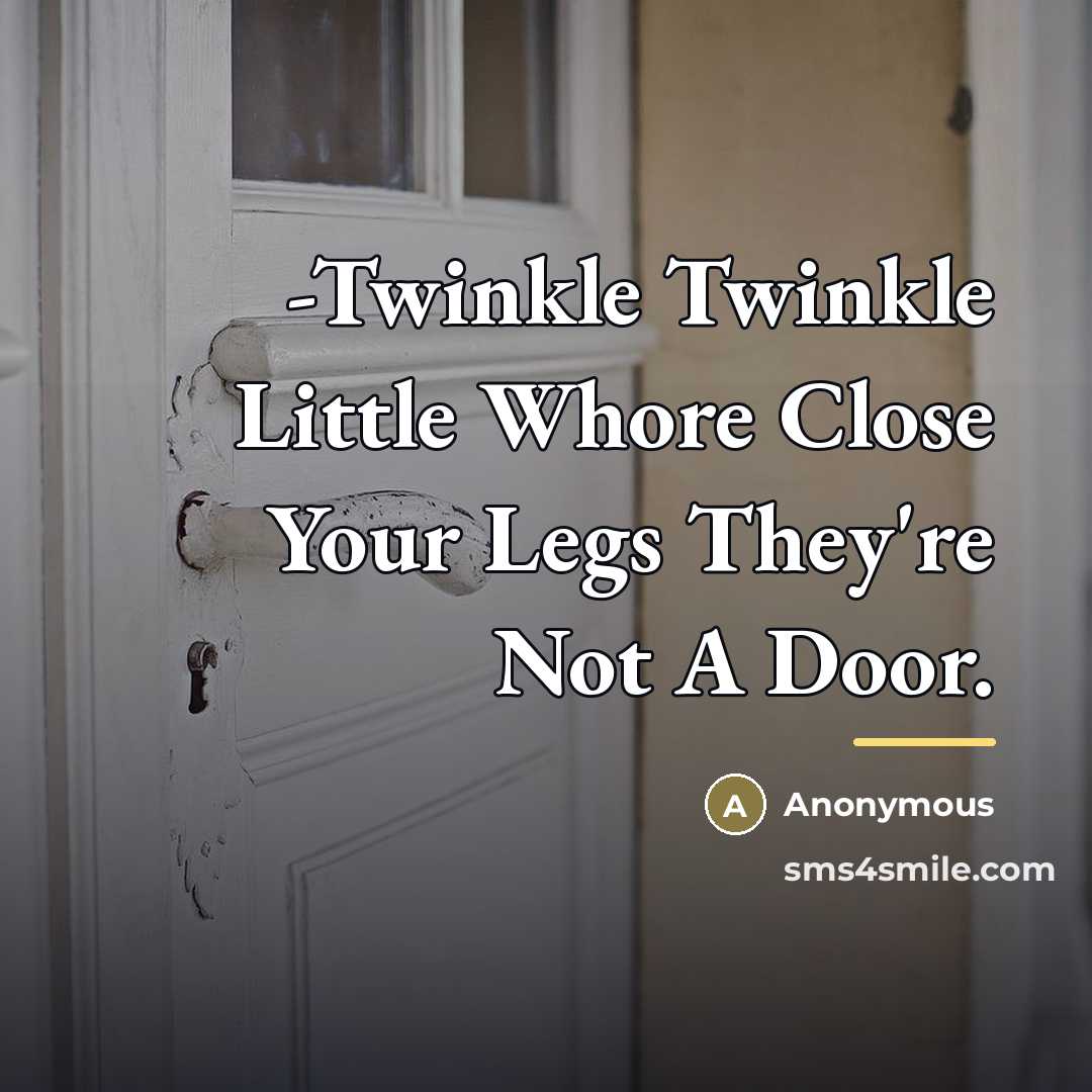 “-Twinkle Twinkle Little Whore Close Your Legs They're Not A…” quote by Anonymous