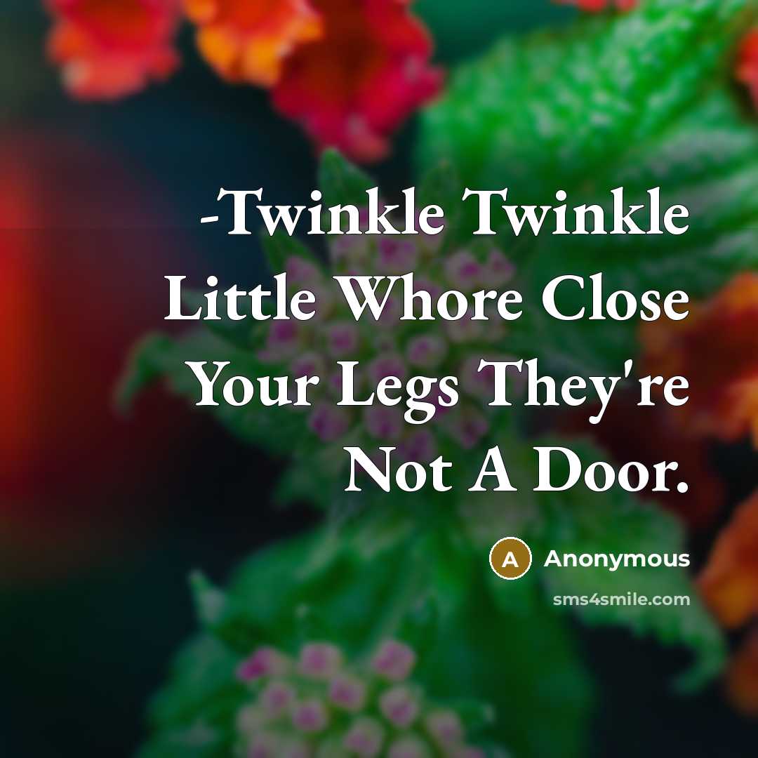 “-Twinkle Twinkle Little Whore Close Your Legs They're Not A Door.” quote by Anonymous