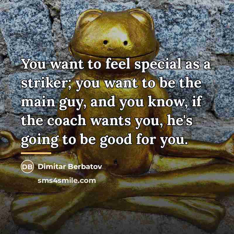 “You want to feel special as a striker; you want…” quote by Dimitar Berbatov