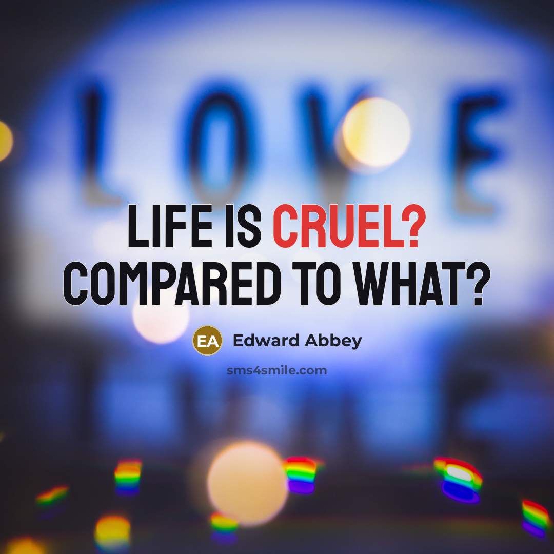 “Life is cruel? Compared to what?…” quote by Edward Abbey