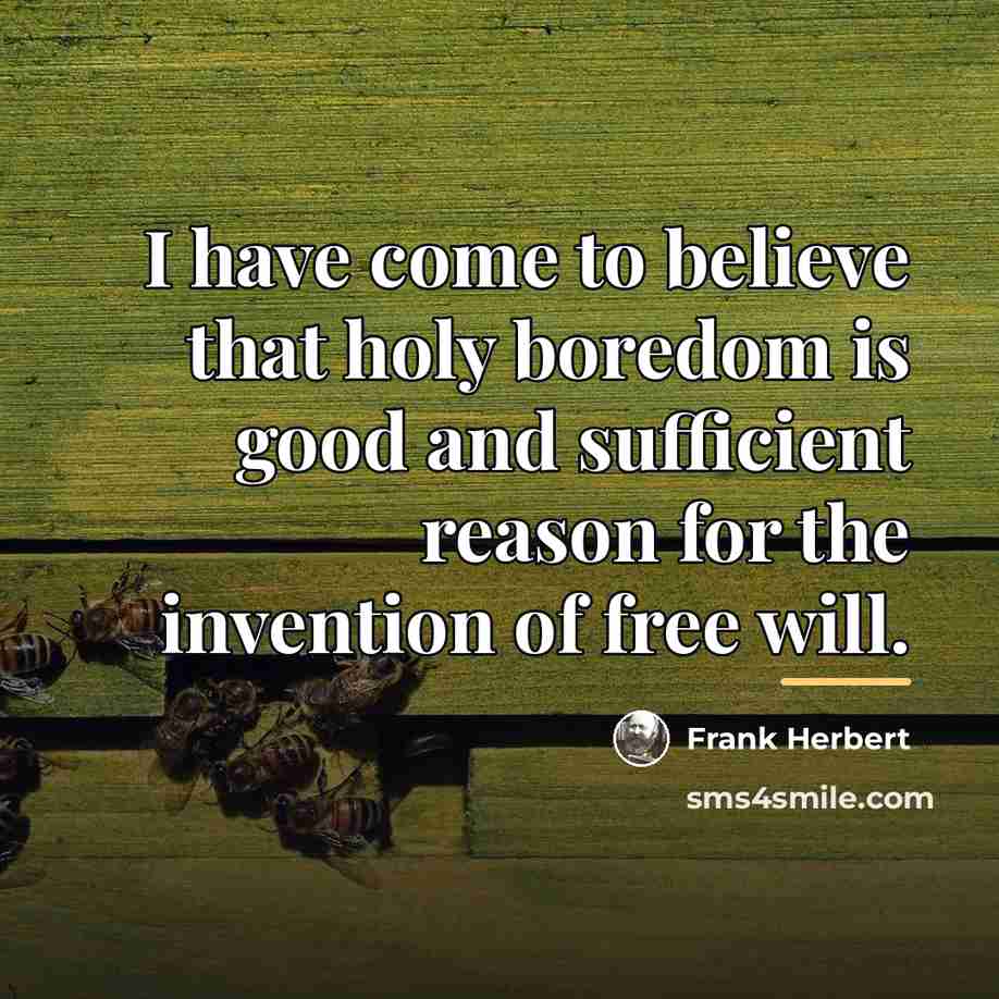 “I have come to believe that holy boredom is good…” quote by Frank Herbert