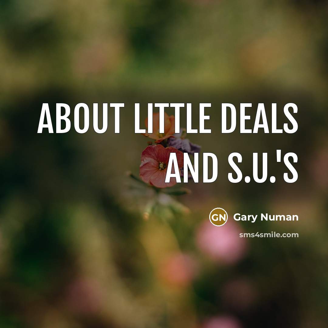 “About little deals and S.U.'s” quote by Gary Numan