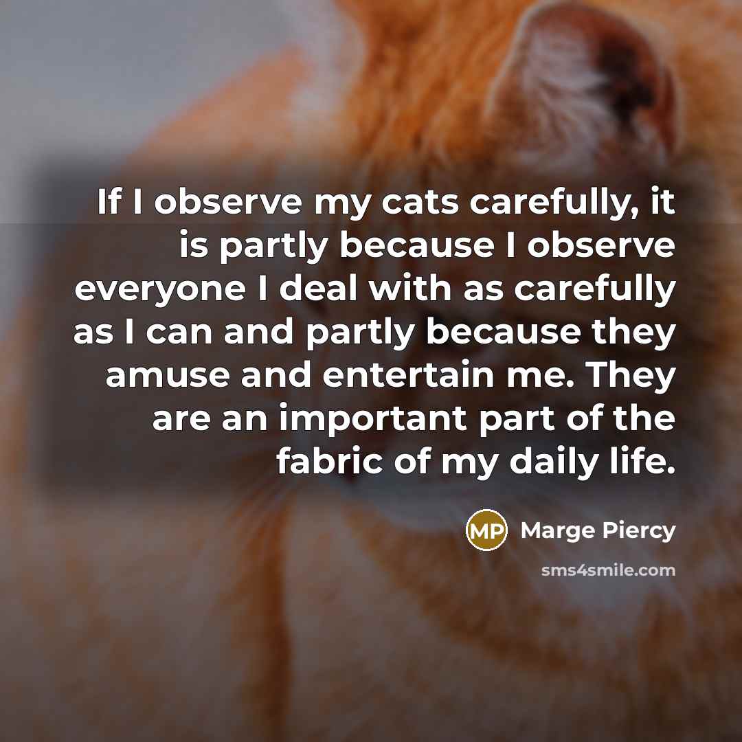 “If I observe my cats carefully, it is partly because…” quote by Marge Piercy