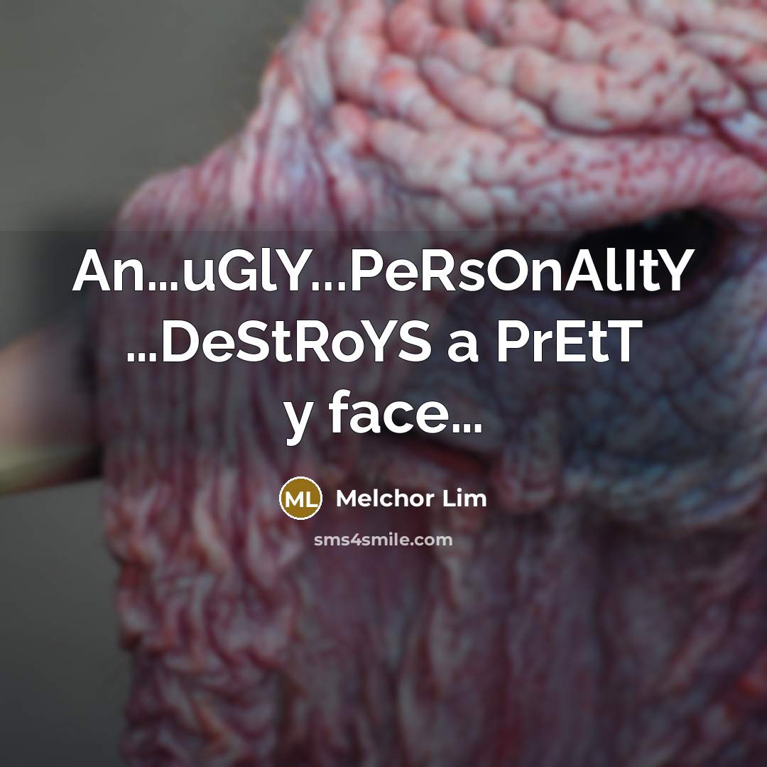 “An....uGlY...PeRsOnAlItY ....DeStRoYS a PrEtT y face....…” quote by Melchor Lim