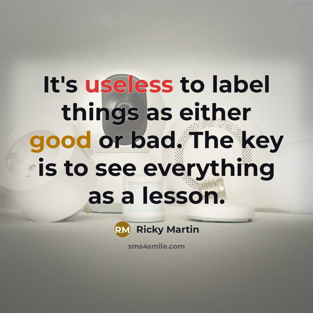 “It's useless to label things as either good or bad. The key is to see everything as a lesson.” quote by Ricky Martin