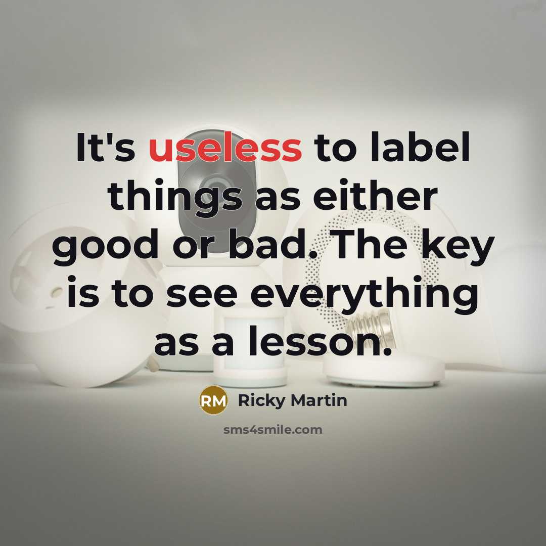 “It's useless to label things as either good or bad.…” quote by Ricky Martin