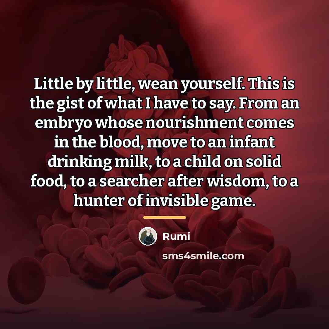 “Little by little, wean yourself. This is the gist of…” quote by Rumi