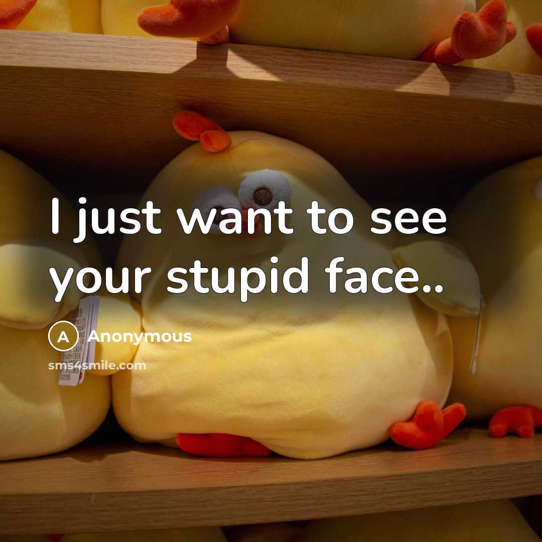 “I just want to see your stupid face..” quote by Anonymous