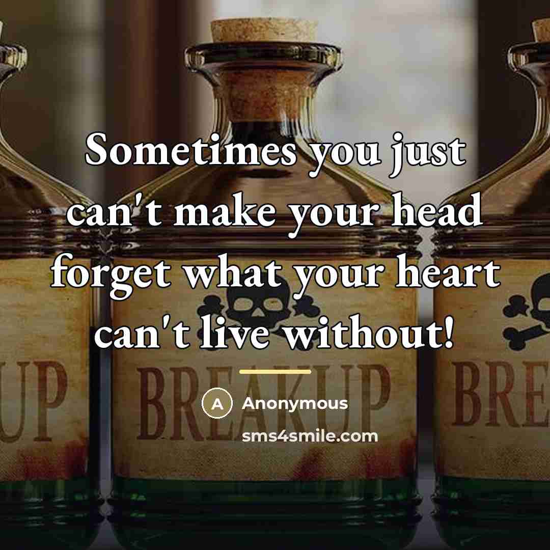 “Sometimes you just can't make your head forget what your…” quote by Anonymous
