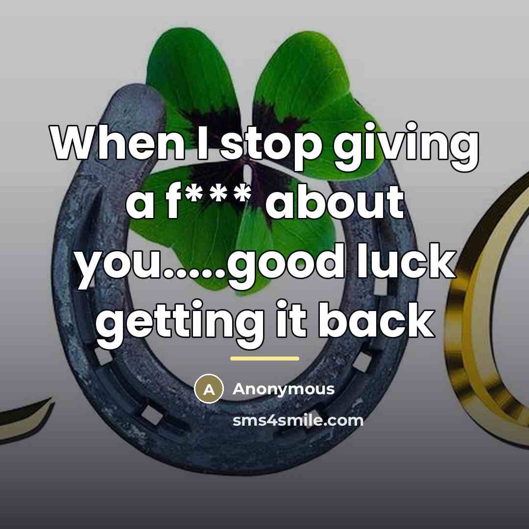 “When I stop giving a f*** about you.....good luck getting…” quote by Anonymous