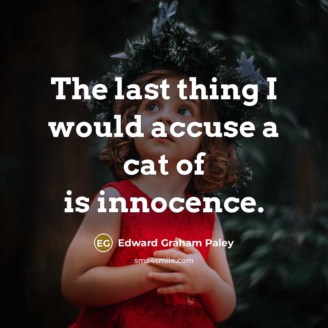 “The last thing I would accuse a cat of is innocence.” quote by Edward Graham Paley