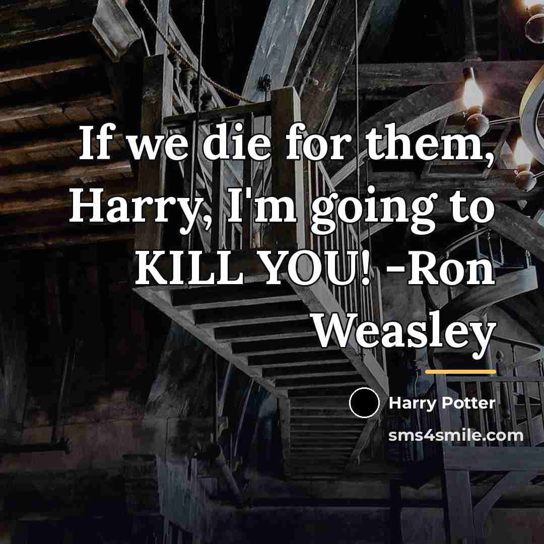 “If we die for them, Harry, I'm going to KILL…” quote by Harry Potter