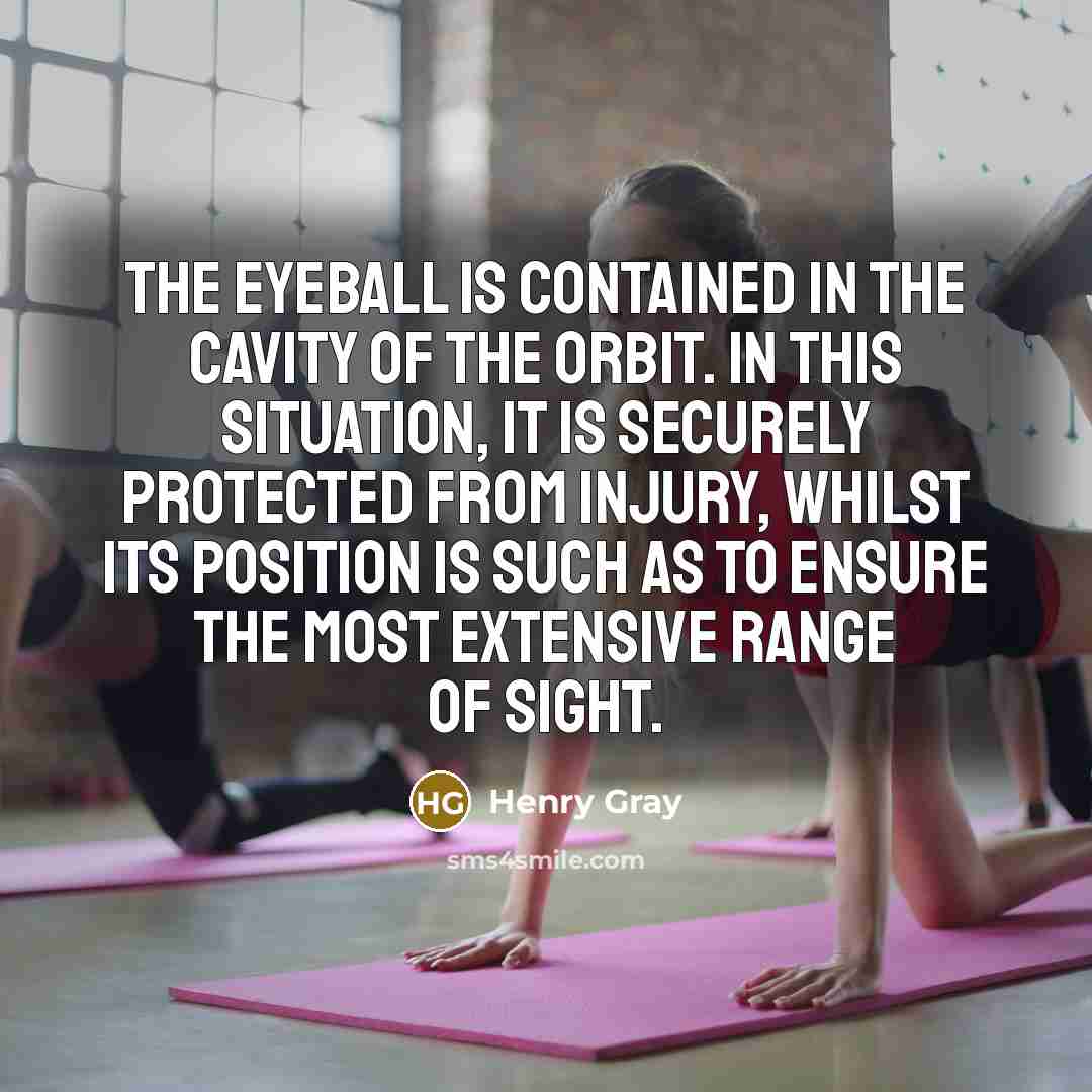 “The eyeball is contained in the cavity of the orbit.…” quote by Henry Gray